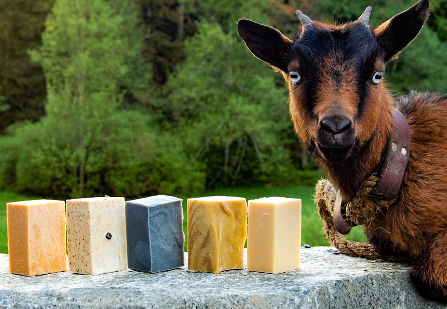 Tested on humans. Goat approved.