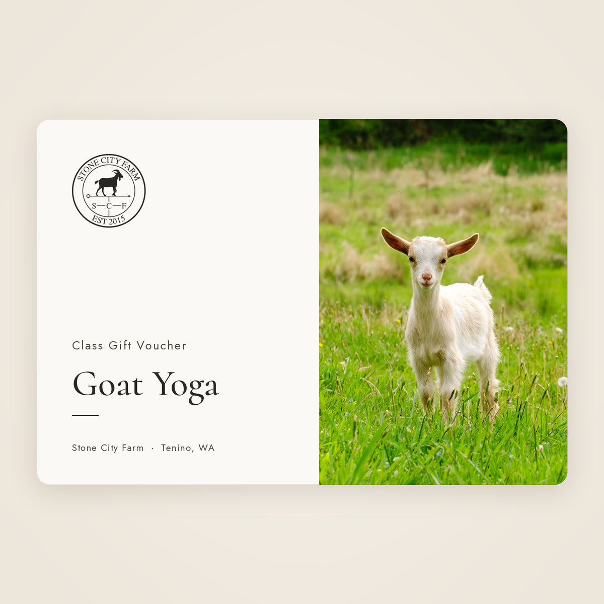 Class Gift Voucher - Goat Yoga - Stone City Farm