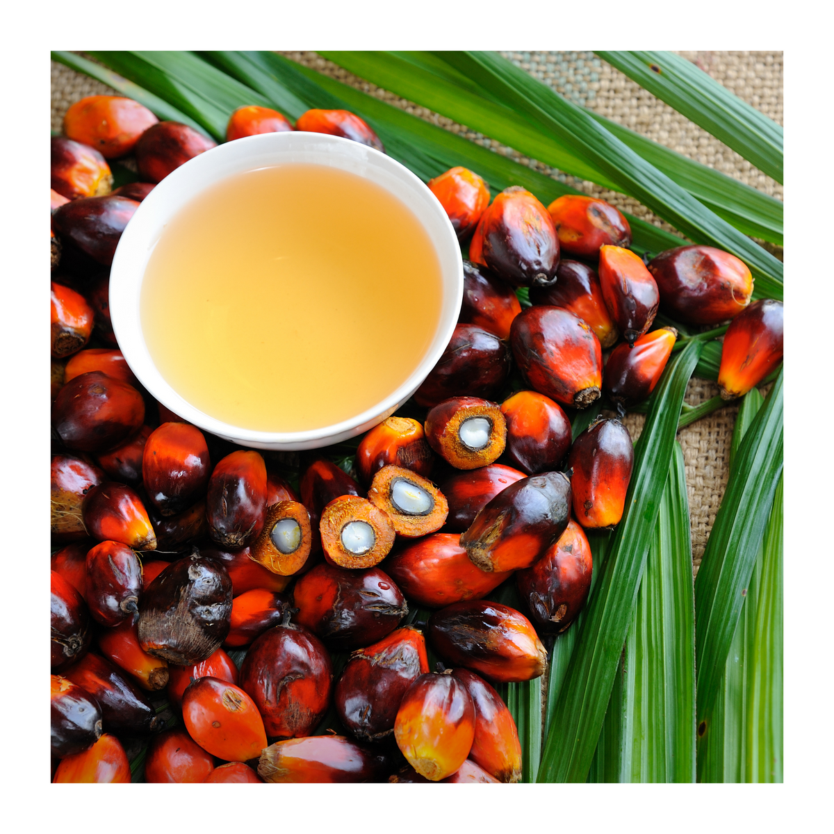 Palm Oil